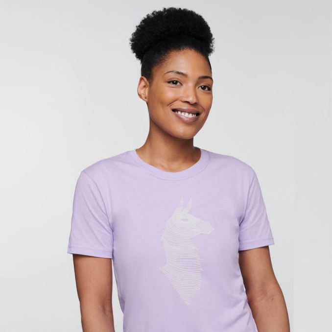 Cotopaxi Original Cardo Topo Llama Camiseta Mujer