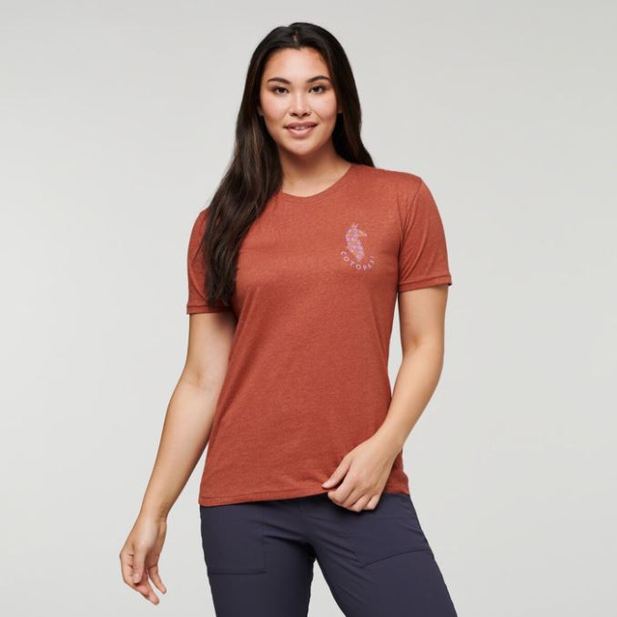 Spice Llama Lover Camiseta Orgánica Mujer Origen Cotopaxi