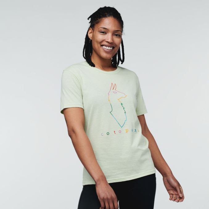 Mejor Cotopaxi Liquen Electric Llama Camiseta Mujer