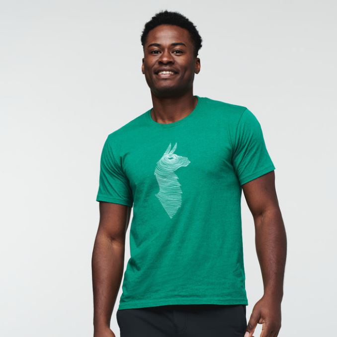 Verde Fashion Cotopaxi Topo Llama T-shirt Men