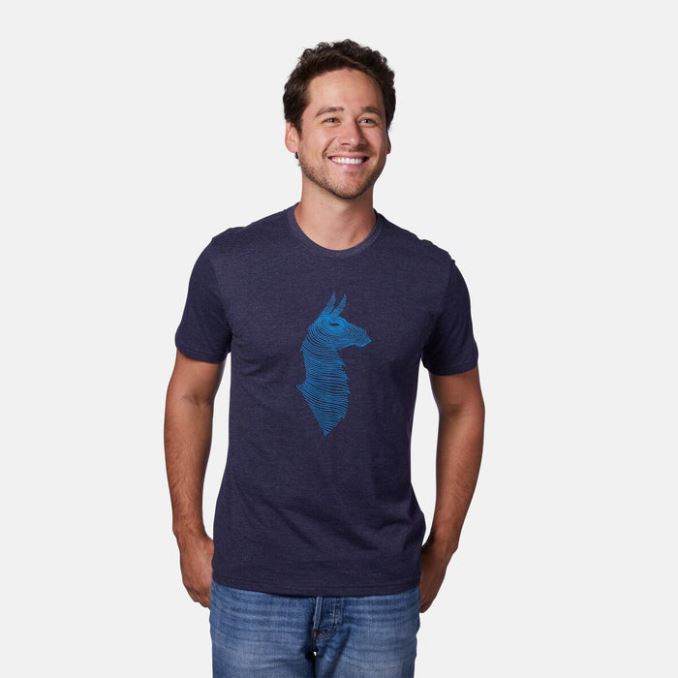 Colección Marítima Topo Llama Camiseta Hombre Cotopaxi