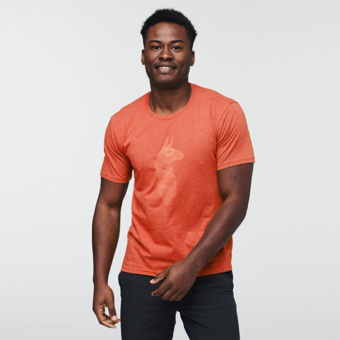 Camiseta Canyon Topo Llama Hombre Cotopaxi Colecciones