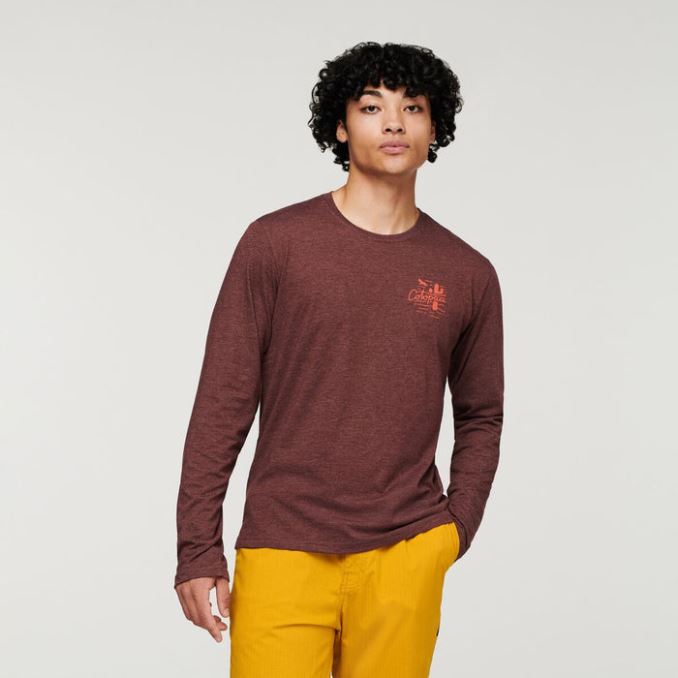 Cotopaxi Hot Chestnut Hello Llama Camiseta Orgánica De Manga Larga Hombre