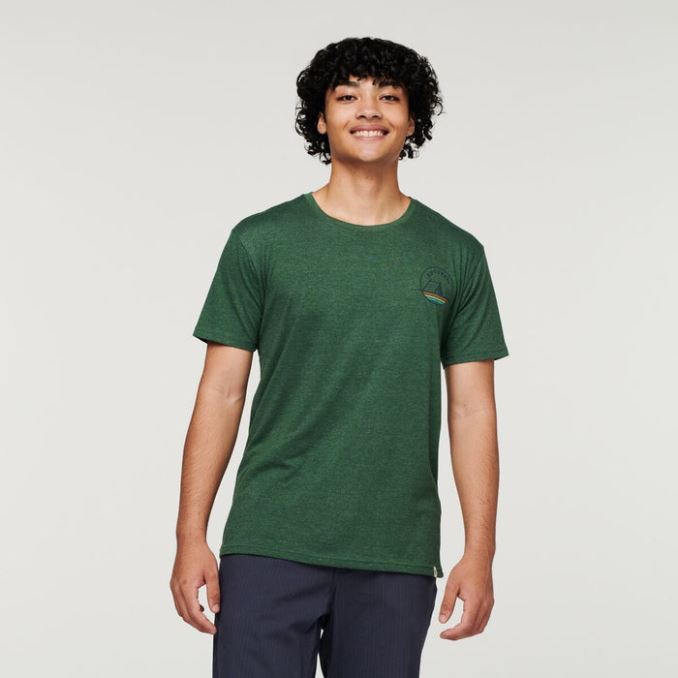 Cotopaxi Camp Life Camiseta Organica Hombre New Forest