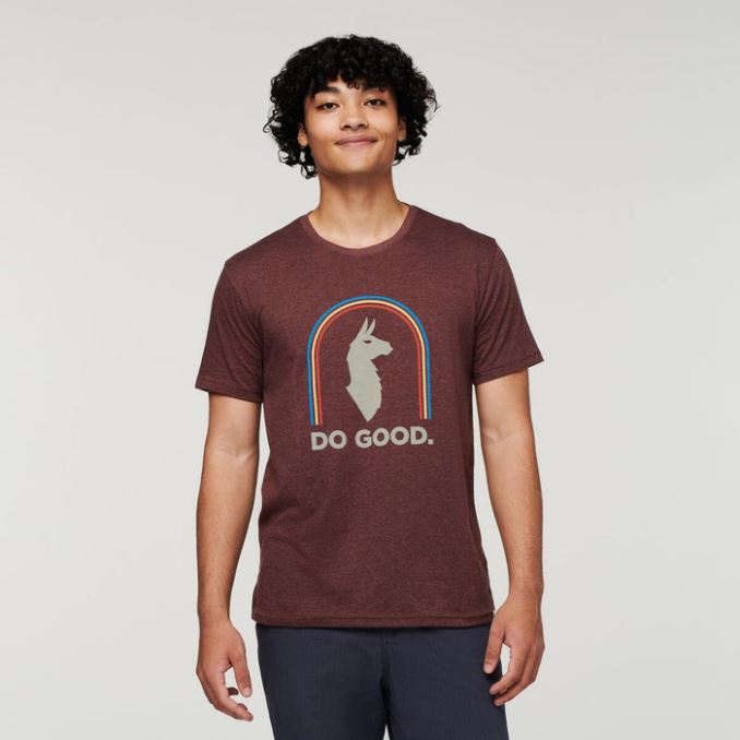 Original Sunshine Do Good Camiseta Orgánica Hombre Castaño Cotopaxi