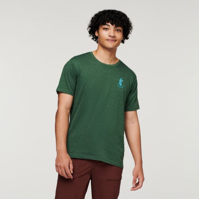 Fashion Forest Llama Lover Organic T-shirt Hombres Cotopaxi