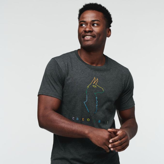 Camiseta Electric Llama Hombre Cotopaxi Iron Collection