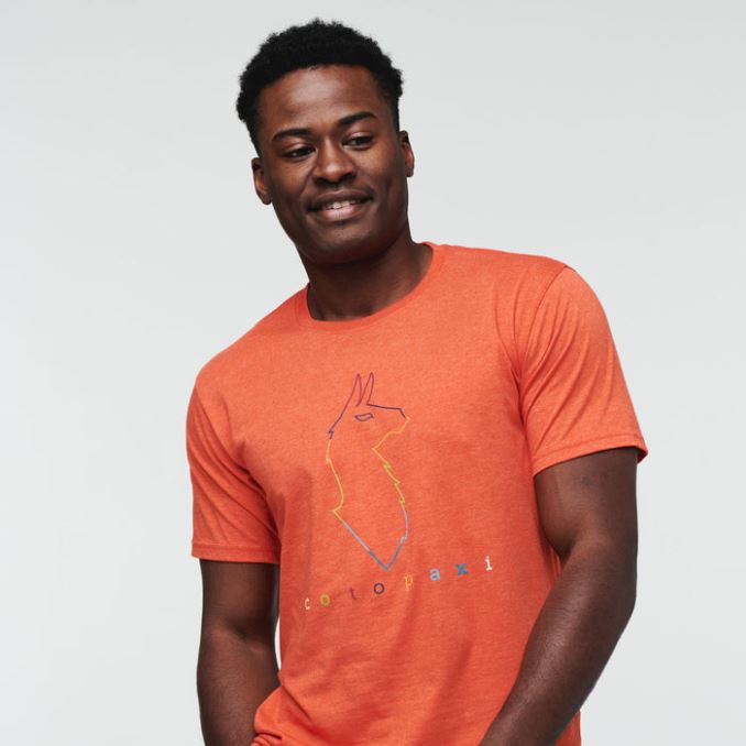 Camiseta Llama Electrica Hombre Origen Canyon Cotopaxi