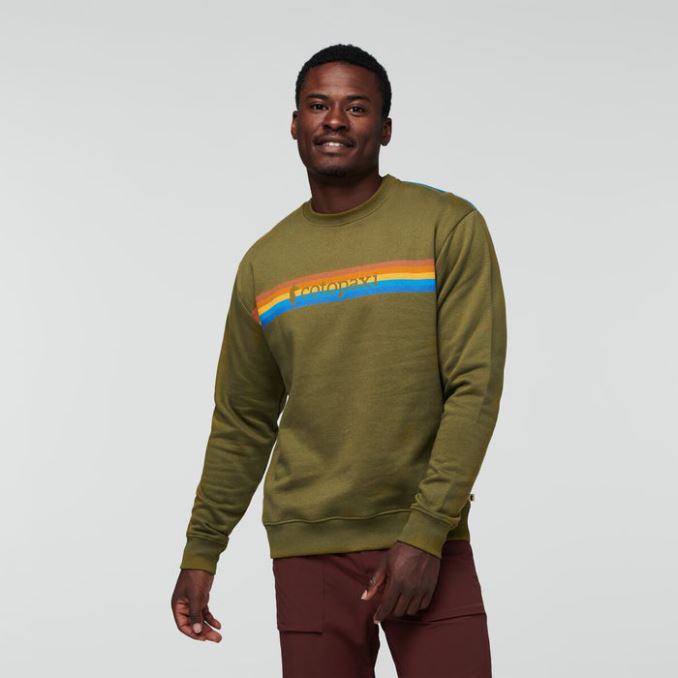Cotopaxi Collection Sudadera Orgánica De Hombre Oak On The Horizon